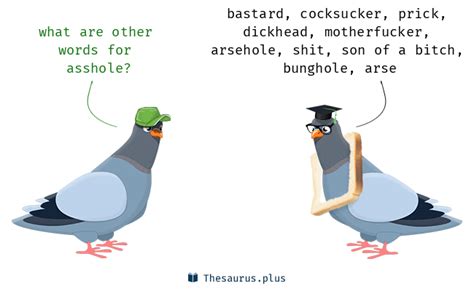 assholer|13 Synonyms & Antonyms for ASSHOLE .